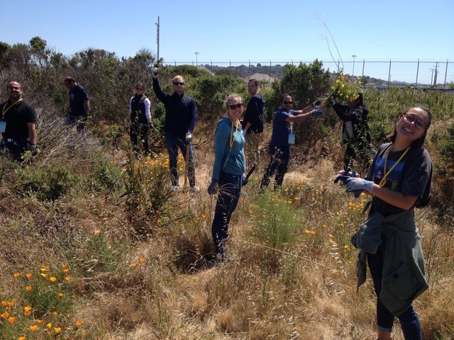 Audobon Society and volunteers group photo removing invasive plants.  Photo courtesy of Audubon 3.jpg